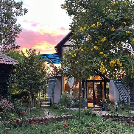 Chalets Resort Masinagudi Ooty Dış mekan fotoğraf