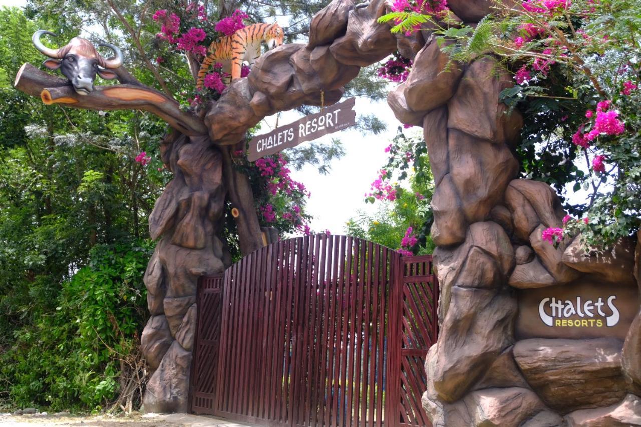 Chalets Resort Masinagudi Ooty Dış mekan fotoğraf