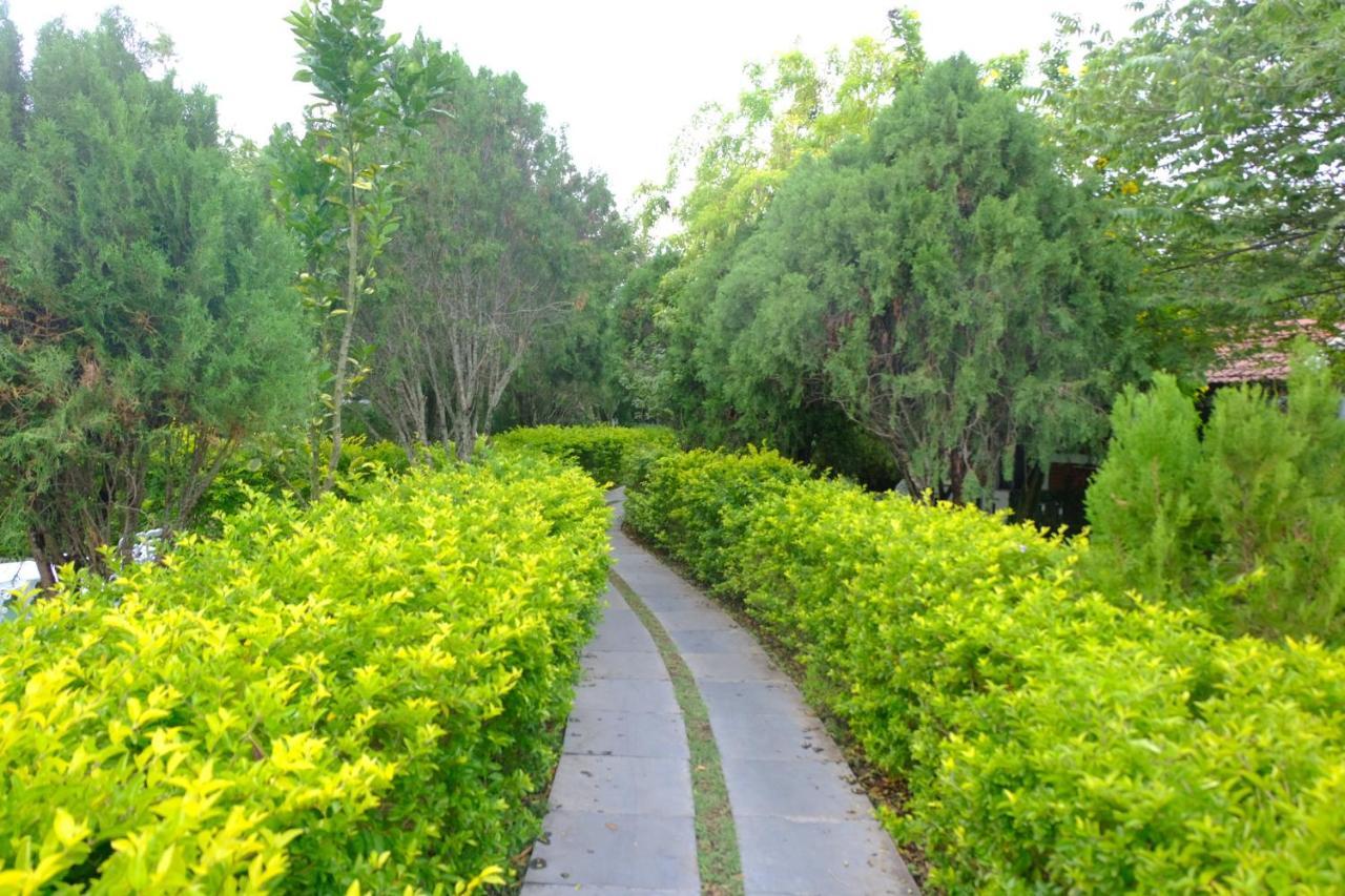 Chalets Resort Masinagudi Ooty Dış mekan fotoğraf