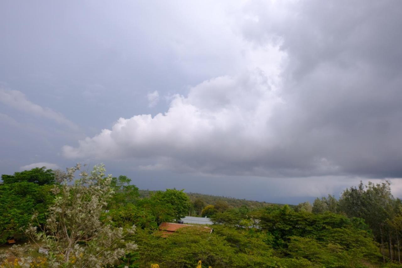 Chalets Resort Masinagudi Ooty Dış mekan fotoğraf