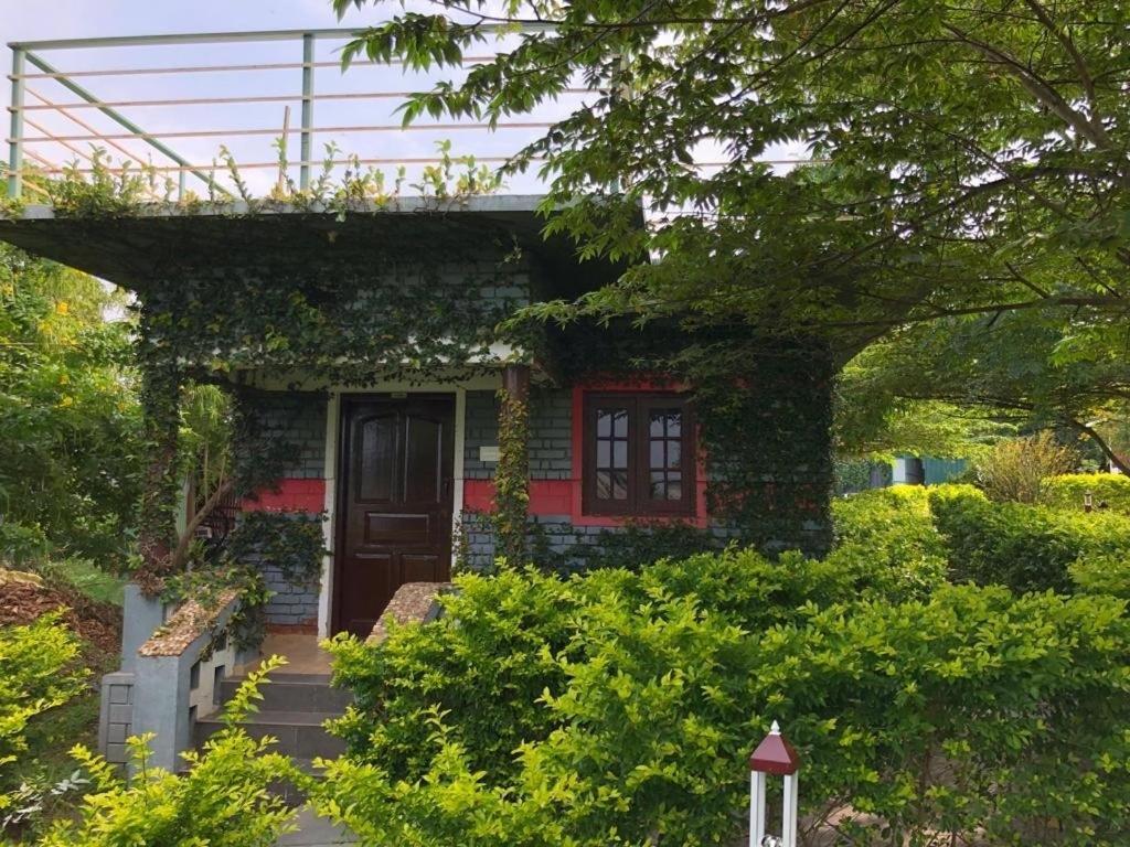 Chalets Resort Masinagudi Ooty Dış mekan fotoğraf