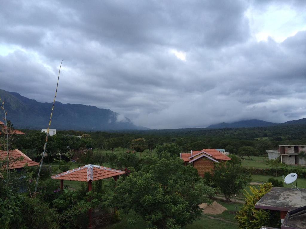 Chalets Resort Masinagudi Ooty Dış mekan fotoğraf